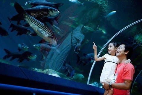 パタヤのアンダーウォーターワールド入場券
