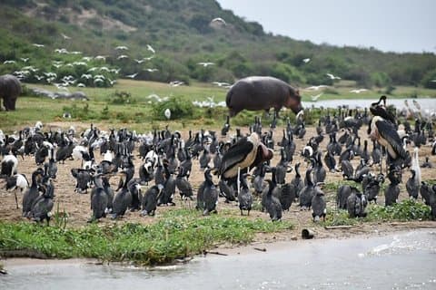 Tour de 3 días al Parque Nacional Reina Isabel