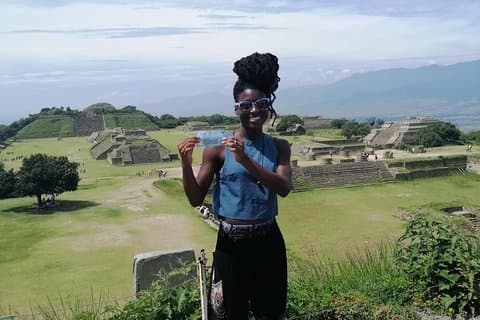Excursão guiada de meio dia a Monte Alban