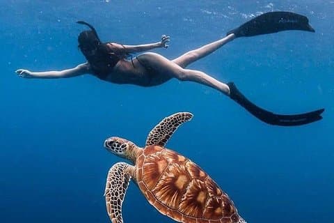 All Inclusive : Bali Blue Lagoon Snorkeling con pranzo e trasferimenti