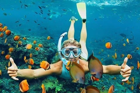 All Inclusive: Bali Blue Lagoon snorkling, lunch och transport