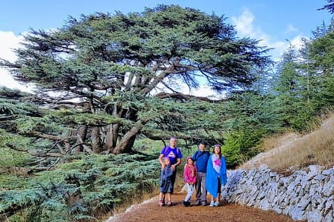 Excursión privada a pie por el Cedro, el Palacio Beiteddine y Deir el Qamar