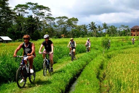 Ubud Cykling In Bali All Inclusive