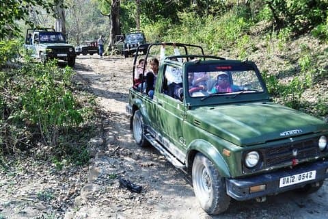 Rishikesh: Open Jeep Safari in Chilla Range, Rajaji National Park
