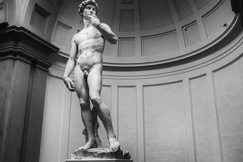 Florence Galleries: Uffizi en Accademia - privétour