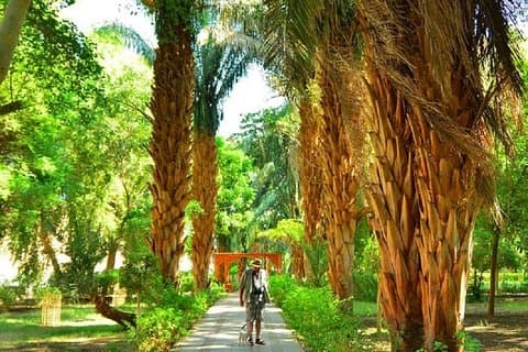 Turnera till Nubian Village och Botanical Garden Visit