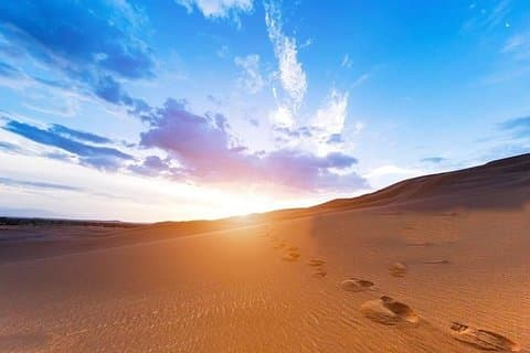 Safari no deserto do nascer do sol