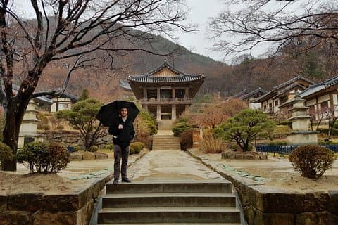 5-tägige Tour für Koreas Vergangenheit und Gegenwart (Mt. Seoraksan, Andong, Gyeongju, Busan)