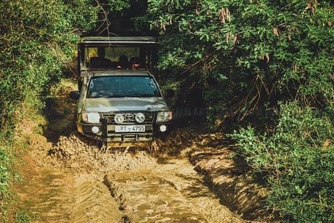 Yala Heldags Leopard Safari Tour med picnic frokost