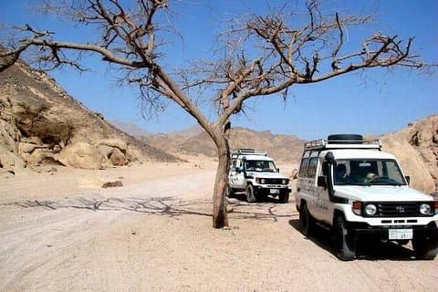 Hela dagen Safari Desert Tour i Hurghada av Jeep