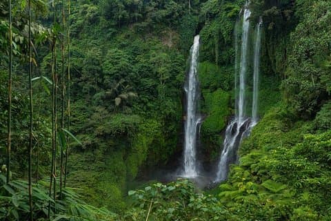 Excursión a la cascada Sekumpul Bali