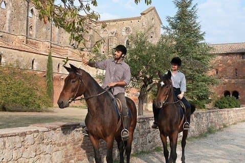 Paardrijden in Toscane voor ervaren of beginnende ruiters