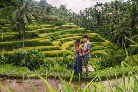 Visite de la ville d'Ubud II: forêt des singes, palais, marché de l'art et terrasse de riz