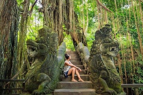 Ubud Village, Rice Terrace, Kintamani Volcano, and Waterfall Tour