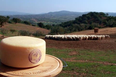Pecorino Cheese Factory & Chianti Weintour in der Toskana - Die perfekte Kombination