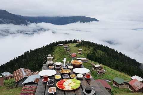 Organic Pokut Tour