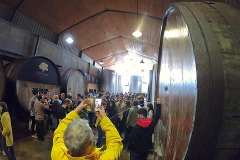 Vivez dans la cidrerie, la tradition du txotx.