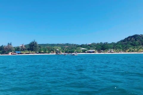 Roatan best nature life