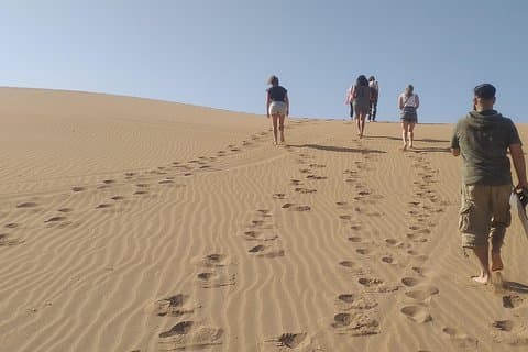 Dagstur med öken och vild strand med måltid