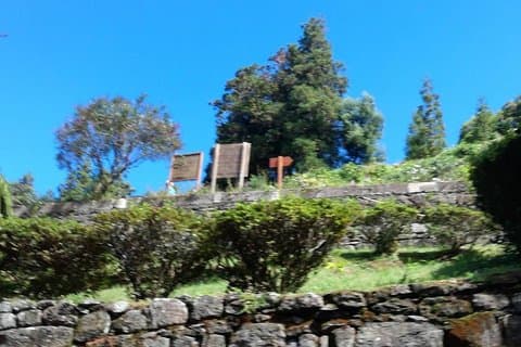 Sete Cidades Lagoa do Fogo 79,99 € pro Person mit Mittagessen ab 2 Personen