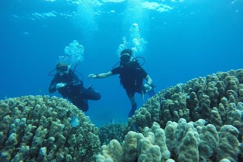 Shore Discover SCUBA Diving/Introductory Diving - One Dive