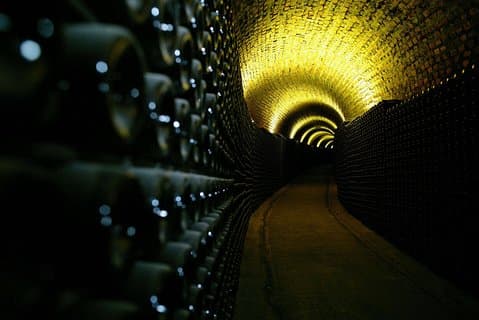 Privat Premium Bairrada-tur: 3 vingårder, vinsmaking og lunsj