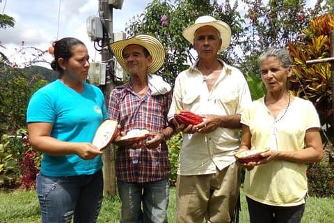 Privat tur: Fredsbygging i Antioquia - Fra Coca Fields til Kakao!
