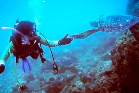 Machalilla Scuba Experience: Marine Life & Clear Waters