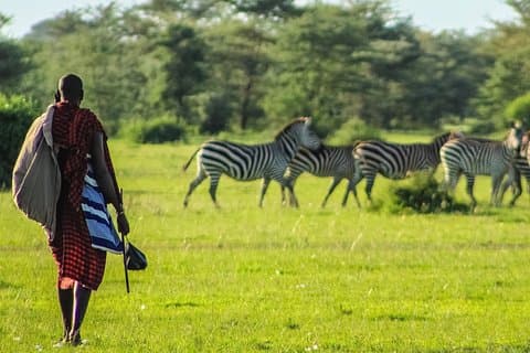 5 giorni di safari Maasai Mara/Nakuru/Naivasha