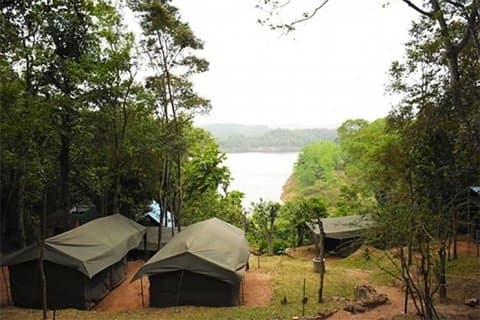 1 natt 2 dager på Belihuloya Adventure Camp-tur fra Colombo eller Negombo