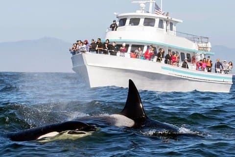 2 jours Sea Aventure à Galle et Mirissa au départ de Colombo