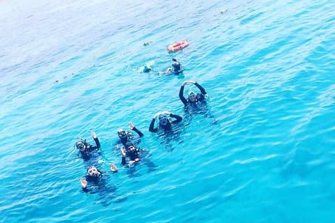 Shore PADI SCUBA Open Water Course