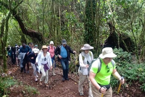 Meilleures aventures du Kilimandjaro 6 jours d'expérience sur la route de Marangu