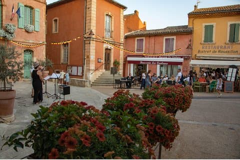 Halvdagstur til landsbyene Luberon og lavander fra Avignon