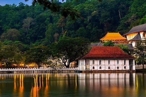 8 dagers privat tur til Sri Lanka fra Colombo