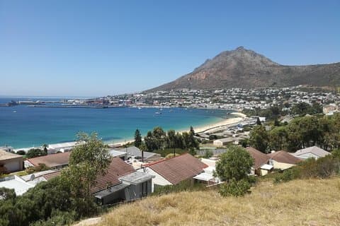 Cape of Good Hope tour Full day /Half day