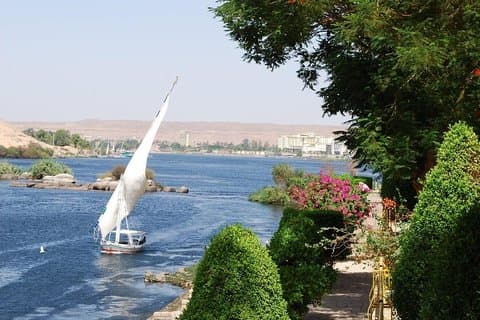 Aswan: viagem pelo rio Nilo Felucca à ilha botânica e taxas de entrada