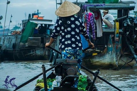 Tour privado: lo mejor del Mekong Delta Tour de 2 días desde Saigón