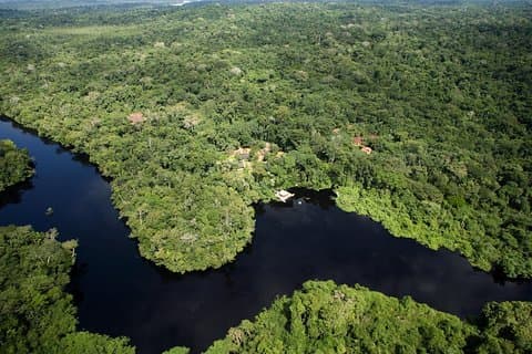 Pantanal & Amazon Holiday - Privat flerdagstur