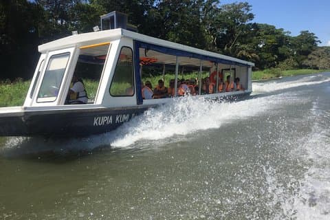 Tamarindo fauna Estuário passeio de barco 1 hora e 45 minutos