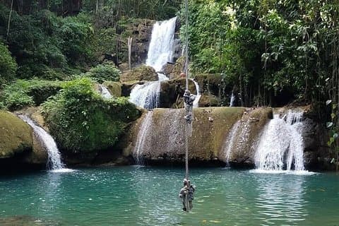 Ys Falls, Black River Safari en Appleton Estate privétour