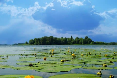 Excursão clássica de dois dias a Hangzhou com uma profunda exploração ao Xixi Wetland Park
