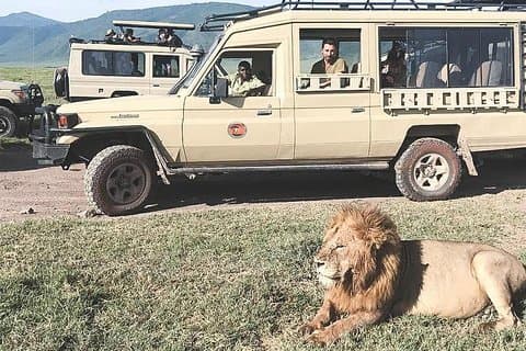 Safari di 3 giorni Jambo Jambo
