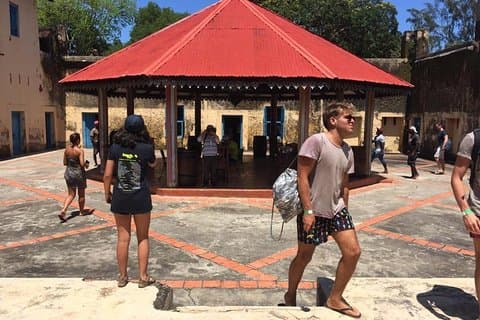 Hele dag Prison Island en Nakupenda Sandbank Beach met lunch