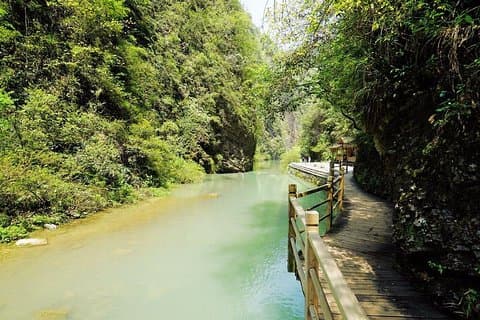 1-dages Zhangjiajie-tur: Grand Canyon med Glass Bridge og Yellow Dragon Cave
