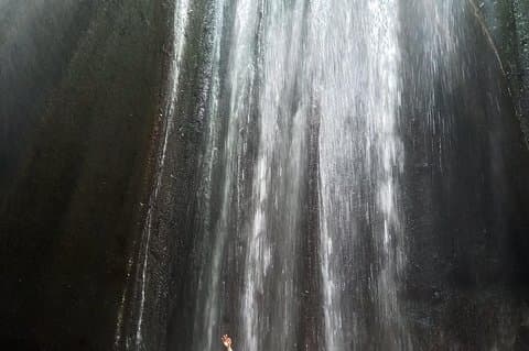 Ubud : 3 cascades cachées avec chauffeur privé