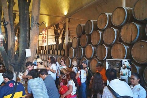 TEQUILA, El Espíritu de México TOUR PRIVADO