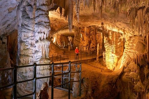 Postojna Cave & Predjama Castle from Bled