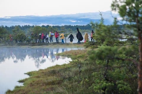 Dagtur til Magical Bog Shoe Walking tour