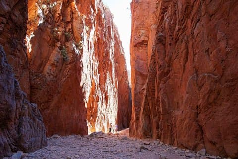 Excursion d'une journée au meilleur d'Alice Springs